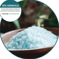 Fresh Products OFENB-F-006I036M-88 ourfreshE Refills - Spa Minerals (6/Box)