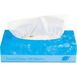GEN 2-Ply Boxed Facial Tissue - White (100 Sheets/Box, 30 Boxes/Carton)