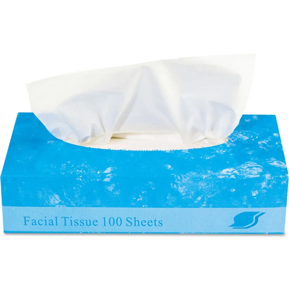 GEN 2-Ply Boxed Facial Tissue - White (100 Sheets/Box, 30 Boxes/Carton)