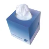 GEN 2-Ply Facial Tissue Cube Box - White (85 Sheets/Box, 36 Boxes/Carton)
