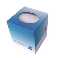 GEN 2-Ply Facial Tissue Cube Box - White (85 Sheets/Box, 36 Boxes/Carton)