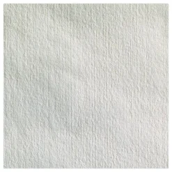 Georgia-Pacific 9 in. x 12.5 in. Heavyweight HEF Disposable Shop Towels - White (176/Box, 10 Boxes/Carton)