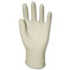 GN1 Latex General-Purpose Gloves Powder-Free Large Natural (1000/Carton)
