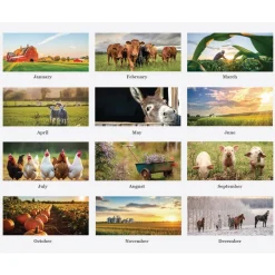 House of Doolittle 11 in. x 14 in. 12-Month (Jan-Dec 2026) 100 Percent Recycled Farm Life Wall Calendar - White/Multicolor Sheets