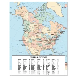 House of Doolittle 9 in. x 7 in. 12-Month (Jan-Dec 2026) Recycled Wild Flower Weekly/Monthly Planner - Gray/White/Purple Cover