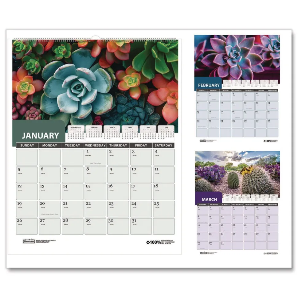 House of Doolittle 14 in. x 11 in. 12-Month (Jan-Dec 2026) Recycled Succulent and Cacti Wall Calendar - Multicolor Sheets
