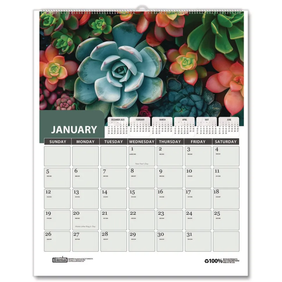 House of Doolittle 14 in. x 11 in. 12-Month (Jan-Dec 2026) Recycled Succulent and Cacti Wall Calendar - Multicolor Sheets
