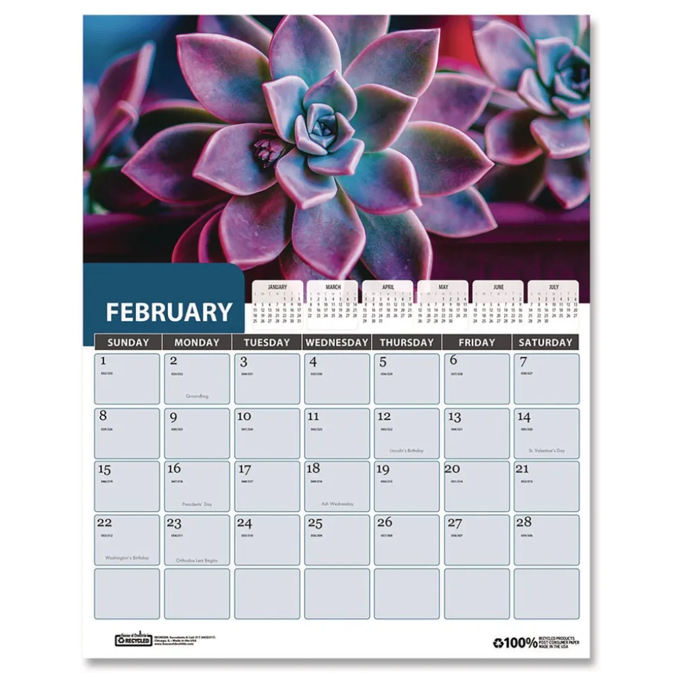 House of Doolittle 14 in. x 11 in. 12-Month (Jan-Dec 2026) Recycled Succulent and Cacti Wall Calendar - Multicolor Sheets