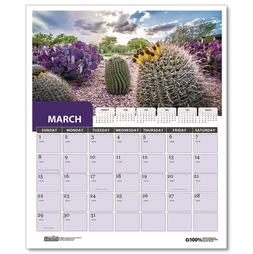 House of Doolittle 14 in. x 11 in. 12-Month (Jan-Dec 2026) Recycled Succulent and Cacti Wall Calendar - Multicolor Sheets