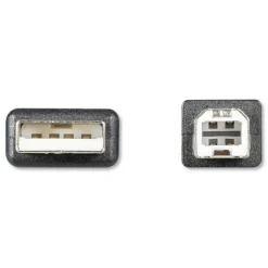 Innovera 6 ft. USB Cable - Black