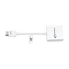 Innovera 6 in. HDMI to SVGA Adapter - White