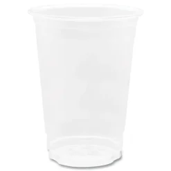 Karat 10 oz. PET Plastic Cups - Clear (1000/Carton)