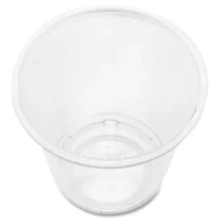 Karat 3 oz PET Plastic Cups - Clear (2500/Carton)