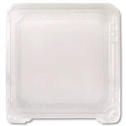 Karat PET Plastic Hinged Container 9 x 9 x 3.6 Clear Plastic 100/Pack 2 Packs/Carton
