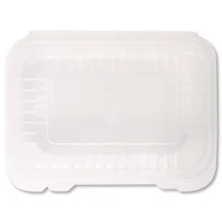 Karat Polypropylene Plastic Hinged Container 6 x 9 x 2.97 Clear Plastic 125/Pack 2 Packs/Carton