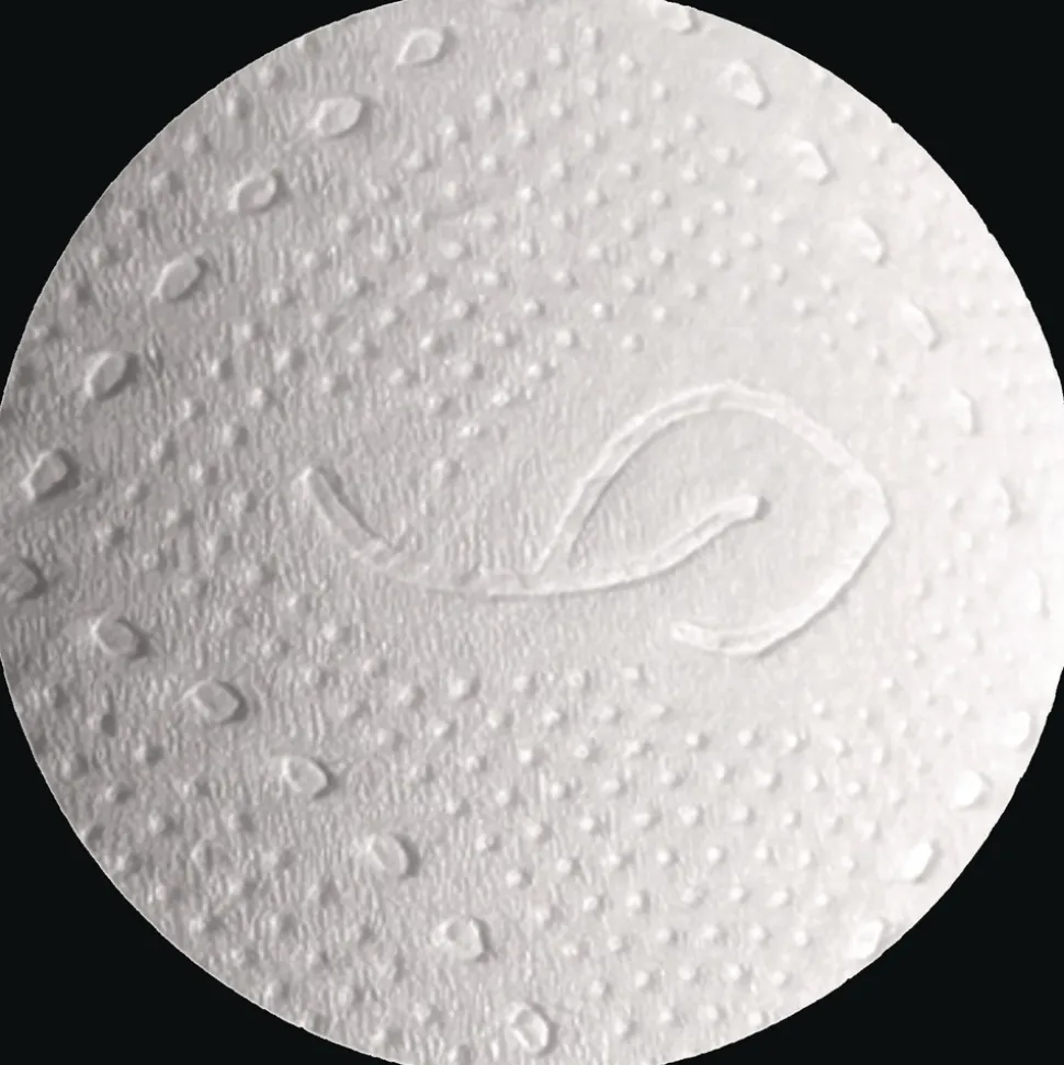 Livi VPG Select 2-Ply Bath Tissue - White (80 Rolls/Carton)