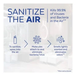 LYSOL Brand 10 oz Aerosol Air Sanitizer Spray - Simple Fresh (6/Carton)