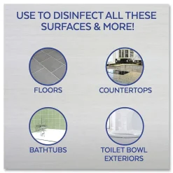 LYSOL Brand 32 oz. Spray Bottle Ready-to-Use All-Purpose Cleaner - Lemon Scent (12/Carton)