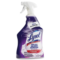 LYSOL Brand 32 oz. Spray Bottle Mold and Mildew Remover with Bleach (12/Carton)