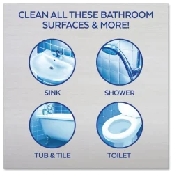 LYSOL Brand 32 oz. Spray Bottle Mold and Mildew Remover with Bleach (12/Carton)