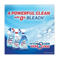 LYSOL Brand 24 oz Toilet Bowl Cleaner with Hydrogen Peroxide - Ocean Fresh (4/Carton)