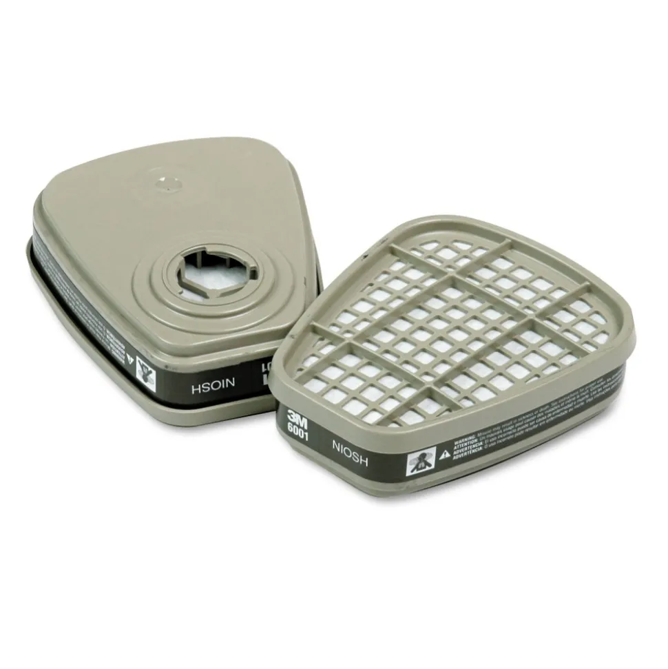 3M 6001 Respirator Cartridge for Certain Organic Vapors (2/Pack)