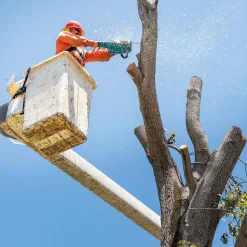 Makita 40V max XGT Brushless Lithium-Ion 18 in. Cordless Chain Saw Kit (5.0Ah)