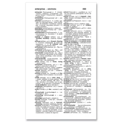 Merriam Webster 928 Pages Paperback Spanish-English Dictionary