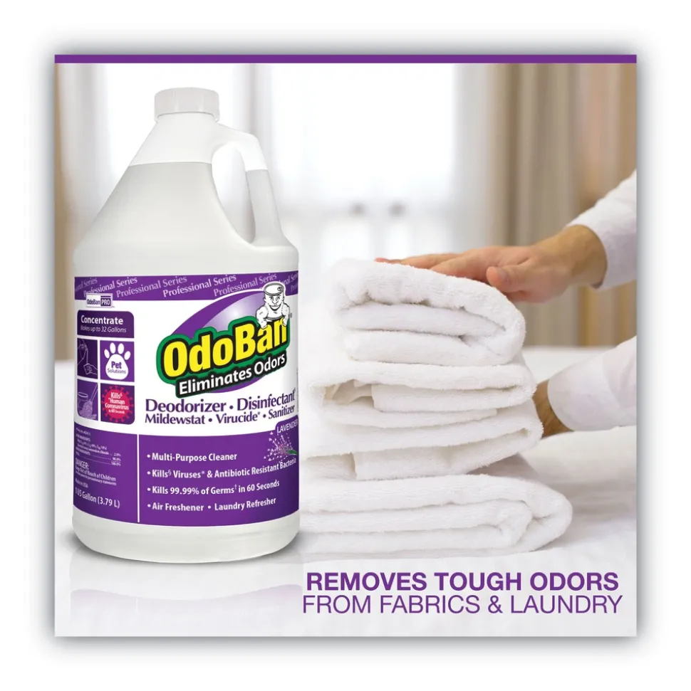 OdoBan 1 Gallon Bottle Concentrate Odor Eliminator and Disinfectant - Lavender Scent (4/Carton)