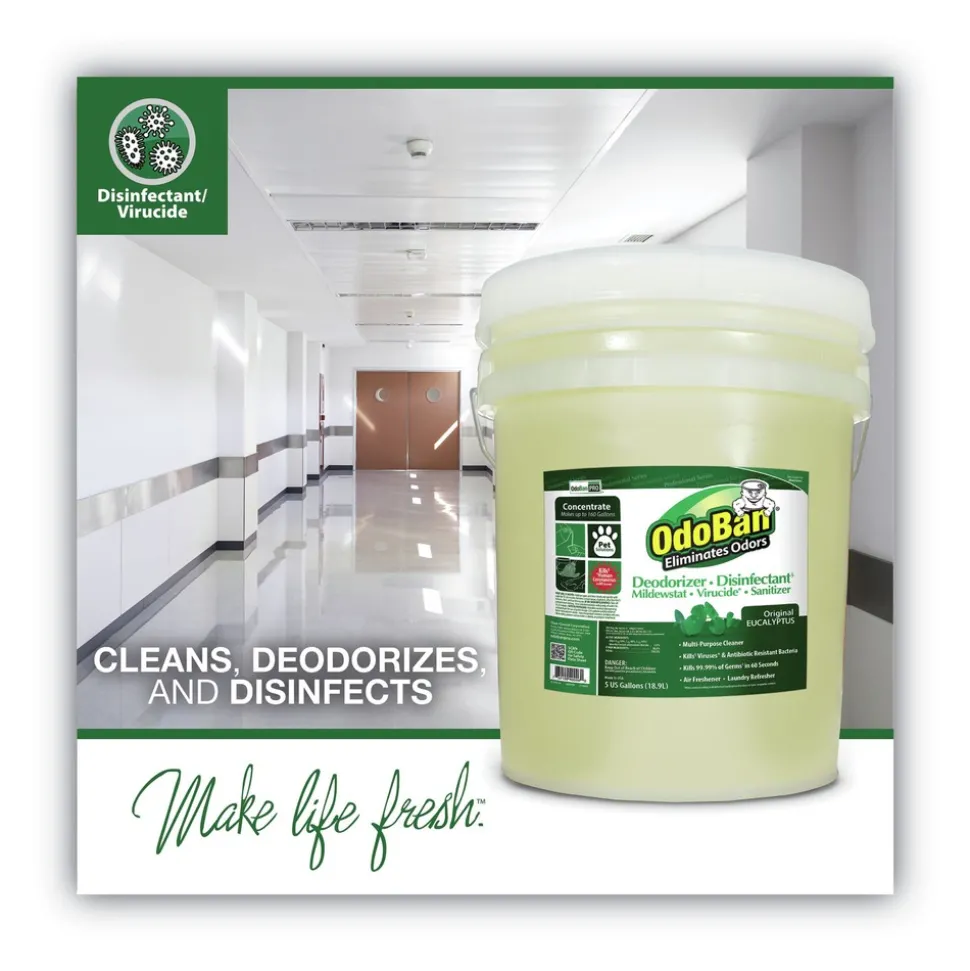 OdoBan 911062-5G CONCENTRATED ODOR ELIMINATOR AND DISINFECTANT, EUCALYPTUS, 5 GAL PAIL