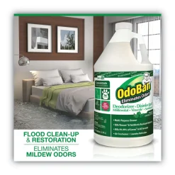 OdoBan 1-Gallon Bottle Concentrated Odor Eliminator and Disinfectant - Eucalyptus