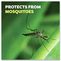 OFF! Deep Woods 6-Ounce Dry Insect Repellent Aerosol Spray - Neutral (12/Carton)