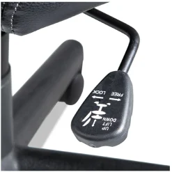 OIF Executive Swivel/Tilt Chair (Fixed T-Bar Arms/ Black)