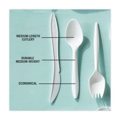 Pactiv Corp. Fieldware Mediumweight Spoon Cutlery - White (1,000/Carton)