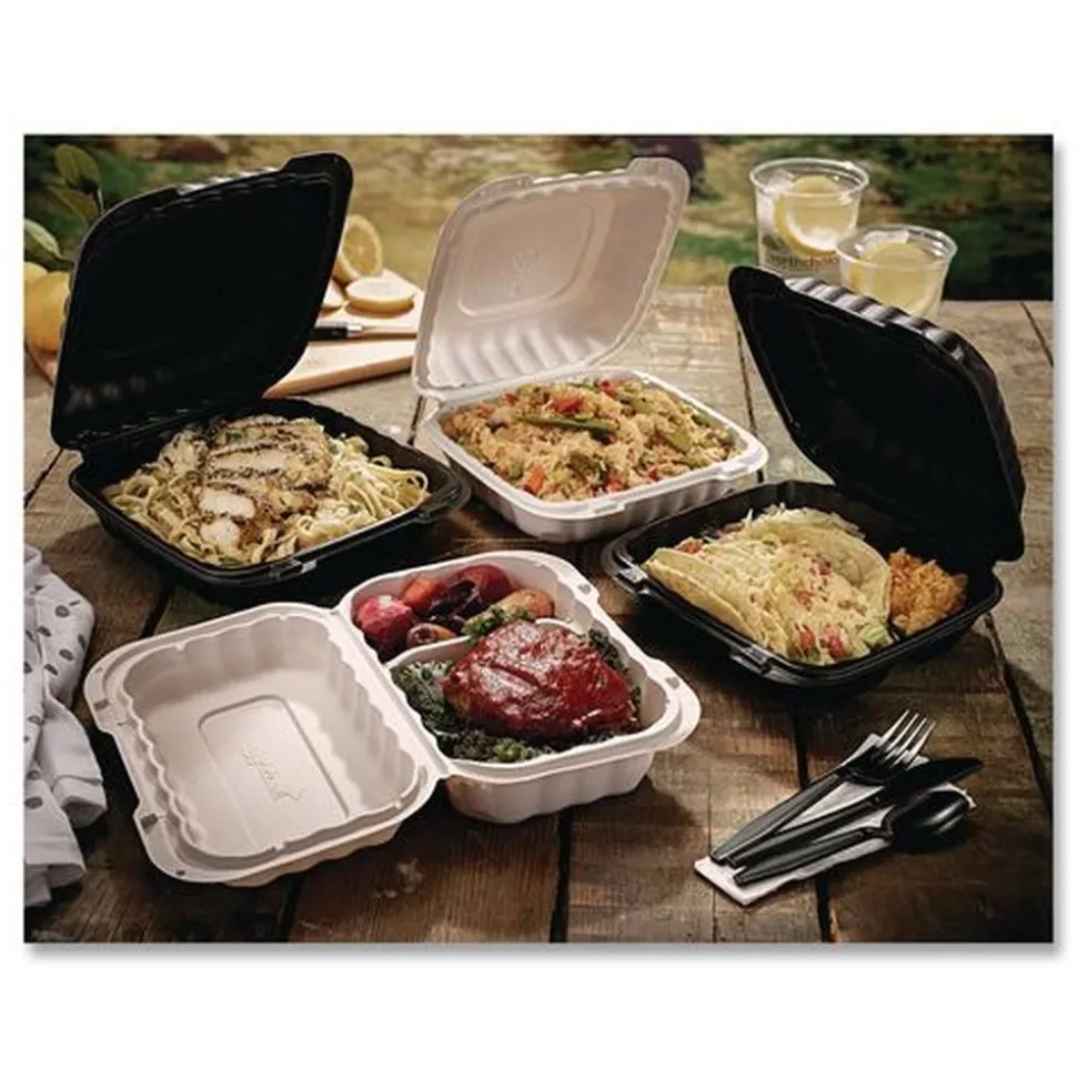 Pactiv Corp. YCN806000000 EarthChoice SmartLock 6 in. x 6 in. x 3.1 in. Microwaveable MFPP Hinged Lid Containers - White (400/Carton)