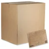 Pregis EverTec 12 in. x 9 in. No. 2 Self-Adhesive Closure Kraft Paper Curbside Recyclable Padded Mailer - Brown (100/Carton)