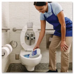 Professional LYSOL Brand 32 oz. Bottle Disinfectant Toilet Bowl Cleaner (12/Carton)