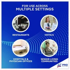 Professional LYSOL Brand 1 Gallon Bottle No Rinse Sanitizer Concentrate (4/Carton)