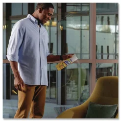 Professional LYSOL Brand 19 oz. Aerosol Disinfectant Spray - Original Scent