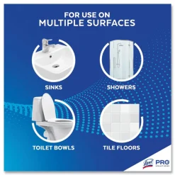 Professional LYSOL Brand 1 gal. Disinfectant Heavy-Duty Bathroom Cleaner Concentrate (4/Carton)