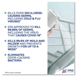 Professional LYSOL Brand 36241-04650 19 oz. Aerosol Spray Disinfectant Spray - Original Scent (12/Carton)