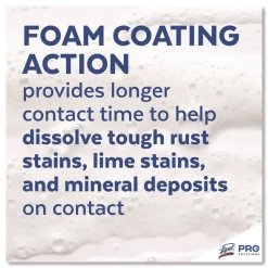 Professional LYSOL Brand 24 oz. Aerosol Spray Disinfectant Foam Cleaner (12/Carton)