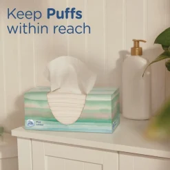 Puffs 2-Ply Plus Lotion Facial Tissue - White (24 Boxes/Carton)