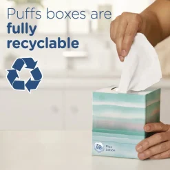 Puffs 2-Ply Plus Lotion Facial Tissue - White (24 Boxes/Carton)