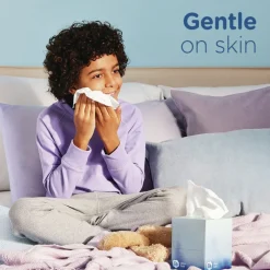 Puffs Ultra Soft 2-Ply Facial Tissue - White (24/Carton)