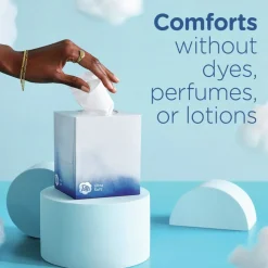 Puffs Ultra Soft 2-Ply Facial Tissue - White (24/Carton)