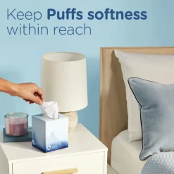Puffs Ultra Soft 2-Ply Facial Tissue - White (24/Carton)