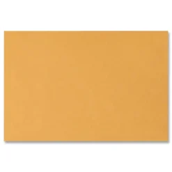 Quality Park #15 Hub Flap Gummed Closure 10 in. x 15 in. Open-Side Booklet Envelope - Brown Kraft (100/Box)