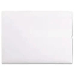 Quality Park 9 in. x 12 in. #10 1/2 Cheese Blade Flap Gummed Closure Open-Side Booklet Envelope - White (250/Box)