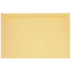 Quality Park Paper File Jackets - Buff/A5 (500/Box)